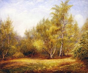 Forêt d