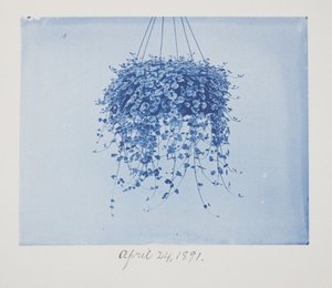 Sans titre, 24 avril - Frederick K. Coulson