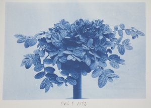 Sans titre, 9 octobre