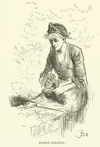 Tirage de lapin
