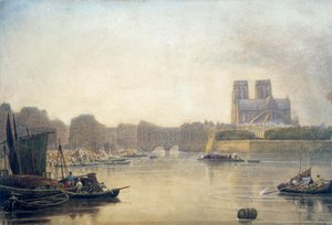 Notre-Dame, Paris, 19e siècle - Frederick Nash