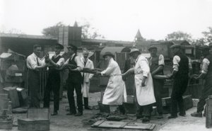 Un python de 6 mètres porté par onze membres du personnel de la Société zoologique, Zoo de Londres, juin 1925