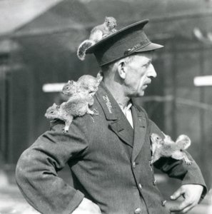 Un gardien de deuxième classe avec quatre jeunes écureuils gris grimpant sur son chapeau et sa veste, zoo de Londres - Frederick William Bond