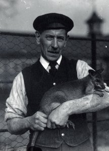 Un gardien tient un wallaby, octobre 1920