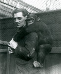 Un homme porte la chimpanzé Sally sur son dos, zoo de Londres, 1924
