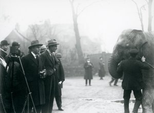Un éléphant indien, peut-être Sundermalah, participant à une émission en extérieur du Zoo de Londres, 1925 - Frederick William Bond
