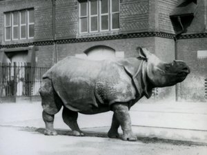 Un rhinocéros indien au zoo de Londres - Frederick William Bond