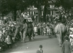 Balades à dos d