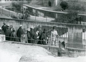 Sir Peter Chalmers Mitchell avec le régent éthiopien Haile Selassie et son entourage, observant un ours brun sur les terrasses Mappin, Zoo de Londres - Frederick William Bond