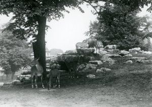 Le paddock des élands au Zoo de Londres en 1924 - Frederick William Bond