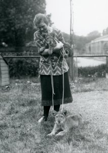 Deux lionceaux avec une jeune femme au Zoo de Londres en août 1925 - Frederick William Bond