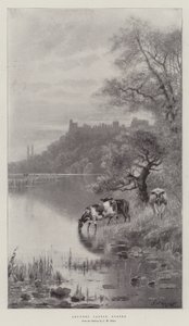Château d