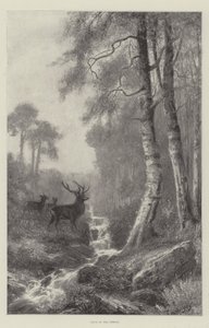 Aube dans la forêt - Frederick William Hayes