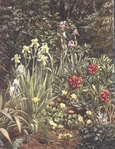 Un coin du jardin