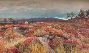 Sur la lande Lytchett Minster - Frederick William Newton Whitehead