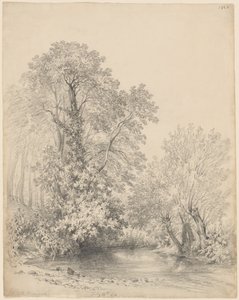 Arbres près de la rivière à Castle Bromwich - Frederick William Watts