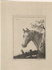 Tête de cheval - Frederik Lodewijk Huygens