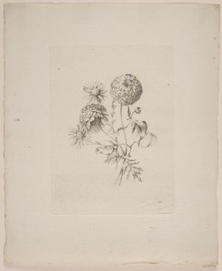 Motif floral - Frederik Schepelern