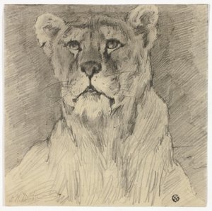 Vue de face de la lionne assise - Frederik William Zurcher