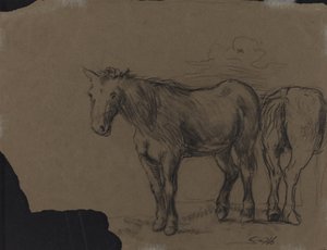 Chevaux - French 19th Century