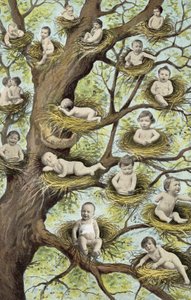 Bébés dans des nids dans un arbre