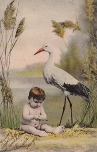 Bébé avec une cigogne - French Photographer
