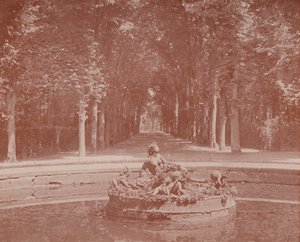 Bassin de Flore, Parc de Versailles - French Photographer