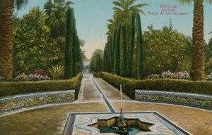Promenade des Cyprès, Alcazar, à Séville, Espagne - French Photographer
