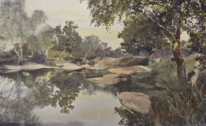 Fontainebleau, Forêt, Mare de Franchard - French Photographer