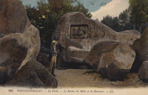 Fontainebleau, La Forêt, Le Rocher de Milet et de Rousseau - French Photographer