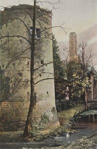 Fontenay-Trésigny, Ruines du château du Vivier-en-Brie - French Photographer