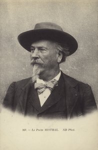Frédéric Mistral (1830-1914), poète et lexicographe français de la langue occitane - French Photographer