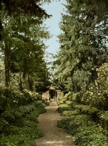 Allée de jardin dans le jardin de Claude Monet, Giverny - French Photographer