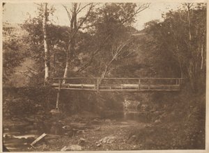 Paysage avec arbres et pont,v. 1850 (photo) - French Photographer