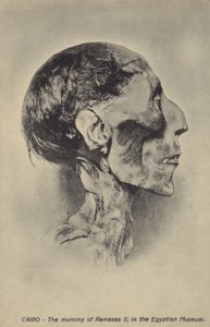 Momie de Ramsès II - French Photographer