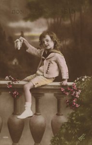 Carte de Nouvel An, 1916 - French Photographer