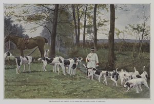 Meute de chiens du Baron de Carayon-Latour à Virelade, France (photo couleur) - French Photographer