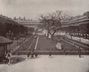 Paris : Jardin du Palais Royal - French Photographer