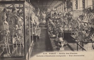 Paris, Jardin des Plantes