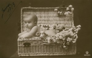 Bébé dans un panier en osier avec des fleurs - French Photographer