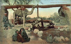Sakia, Haute-Égypte (photo couleur) - French Photographer