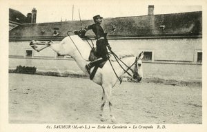 Saumur (Maine-et-Loire), École de Cavalerie, La Croupade - French Photographer