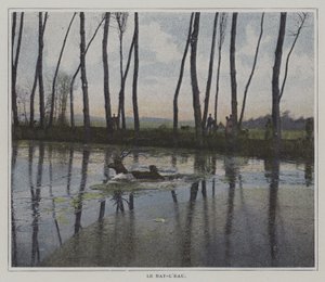 Cerf nageant pour échapper à une chasse (photo couleur) - French Photographer