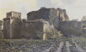 Tiffauges, Ruines du Château, Vue prise de la cour - French Photographer