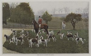 Tom Firr et les chiens de la Quorn Hunt, Leicestershire - French Photographer