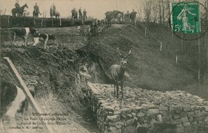 Villers-Cotterêts. La Forêt - Equipage Menier Hallali de Cerf à Silly-la-Poterie