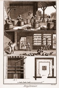 Amydonnier - « La Grande Encyclopédie, ou Dictionnaire Raisonné des Sciences, des Arts et des Métiers » par Denis Diderot (1713-1784) et Jean d