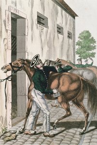 Un dragon toilettant son cheval, planche 257 d