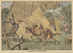 Une vache attaquant un avion dans le Midwest américain
