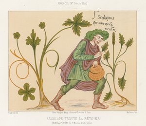 Esculape découvrant la bétoine - French School